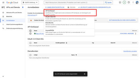 Anzeige des generierten API-Schlüssels nach Erstellung über die Google Cloud Console im Bereich „APIs und Dienste“