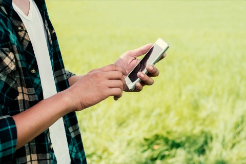 Person in kariertem Hemd nutzt Smartphone auf einem Feld, symbolisiert Digitalisierung in Landwirtschaft und Gartenbau.