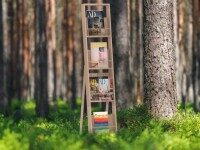 Holz-Prospektständer mit mehreren Fächern, bestückt mit Magazinen und Katalogen, aufgestellt in natürlicher Umgebung