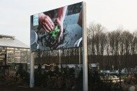 Große Outdoor LED-Wand mit Pflanzmotiv, installiert auf Metallpfosten im Außenbereich neben einem Gebäude