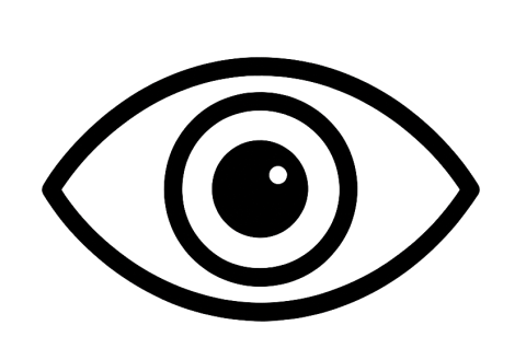 Schwarzes Auge-Symbol als Icon für Sichtbarkeit oder Ansicht auf transparentem Hintergrund