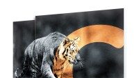 Lightbox System mit echten Farben und brillanter Tageslichtwirkung Hinterleuchteter Textildruck mit naturgetreuer Farbdarstellung und hoher Farbbrillanz im CORNECT System 170
