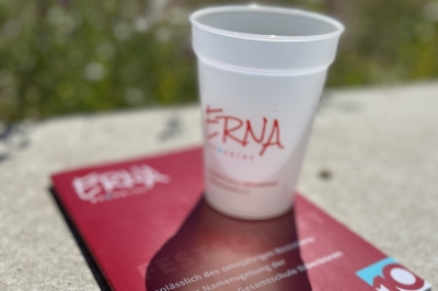 Logo und Webseite für die Erna-de-Vries-Gesamtschule Ibbenbüren